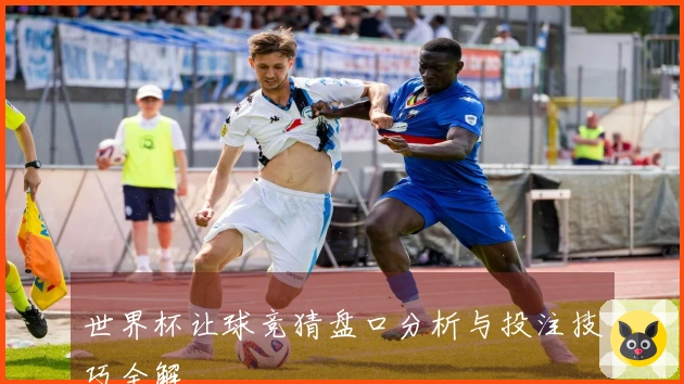 世界杯让球竞猜盘口分析与投注技巧全解