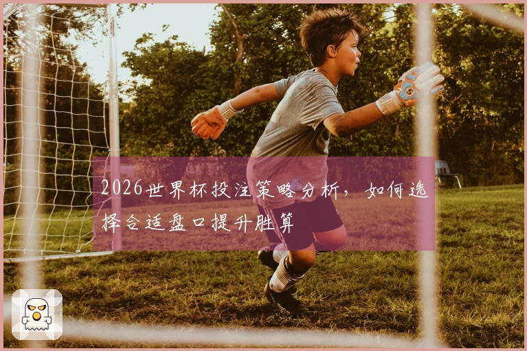 2026世界杯投注策略分析，如何选择合适盘口提升胜算
