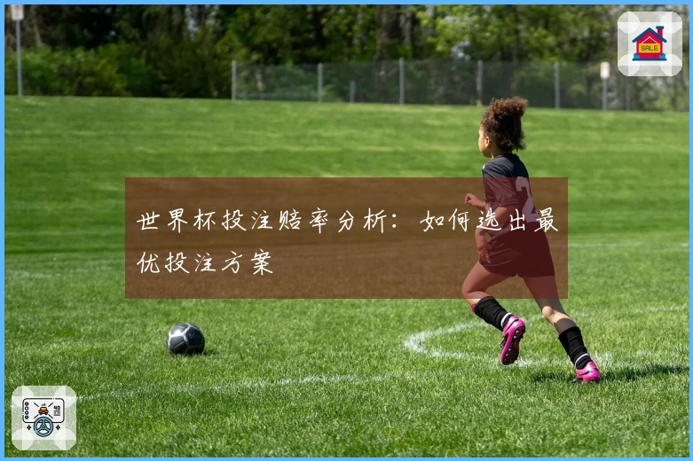 世界杯投注赔率分析：如何选出最优投注方案