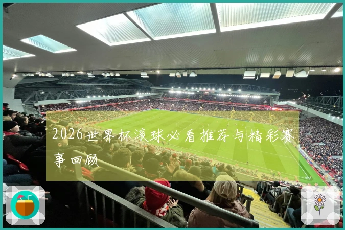 2026世界杯滚球必看推荐与精彩赛事回顾