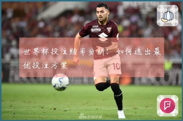 世界杯投注赔率分析：如何选出最优投注方案