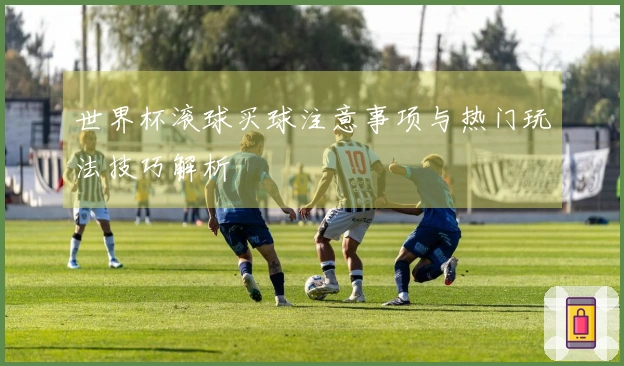 世界杯滚球买球注意事项与热门玩法技巧解析